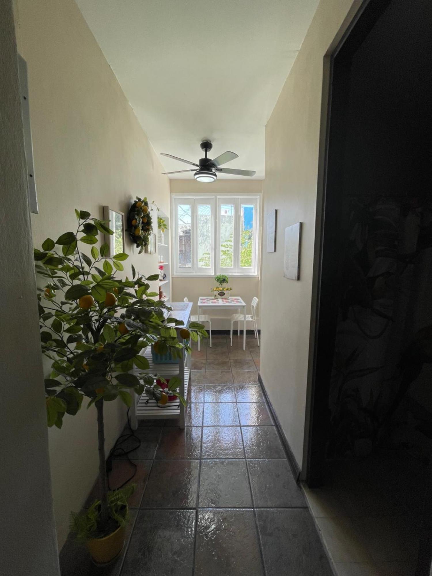 The Garden Apartment, The Willow Apartment, & The Tropical Apartment At Casa Of Essence In Old San Juan Exterior foto