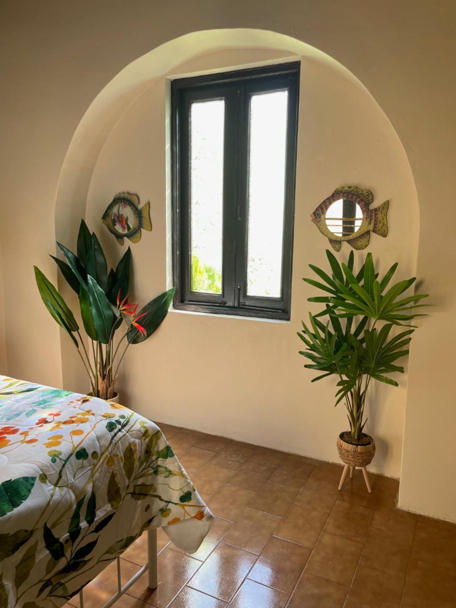 The Garden Apartment, The Willow Apartment, & The Tropical Apartment At Casa Of Essence In Old San Juan Exterior foto